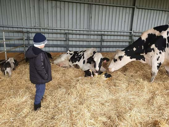 NEXT GENERATION (farmer & cow) – Leanne Smethurst, Smethurst Park.