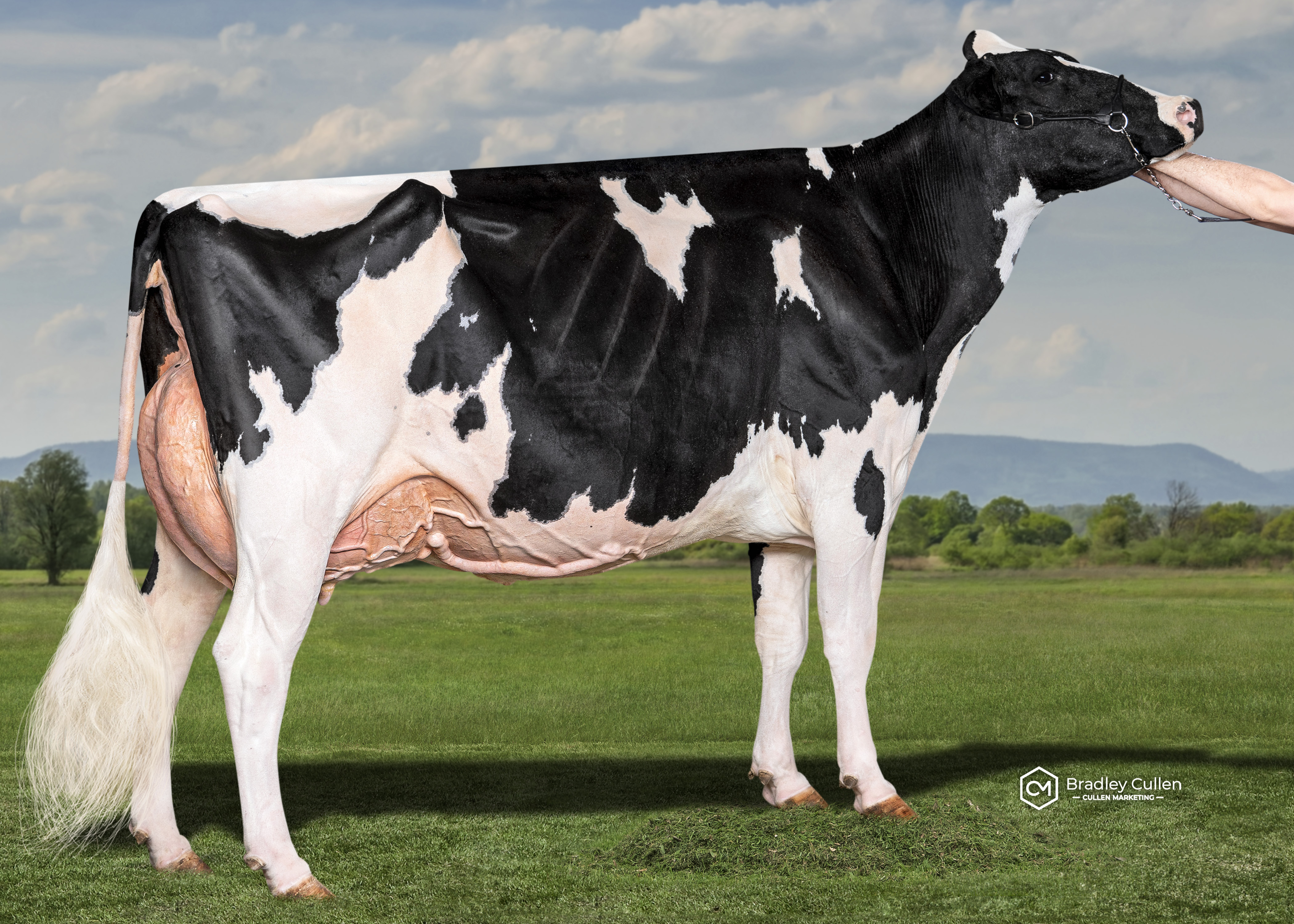 Byrne Lea Octane Buttersnap