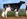 Lightning Ridge Beemer Camilla-IMP-ET BusyBrook Holsteins /Tuhinga Dairy Pty Ltd /G Fullerton) 3 year old winner 2020
