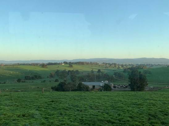 MILKING TIME – Stuart Seabrook, Bonnieview Holsteins.