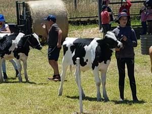 Western District Dairy Youth Camp