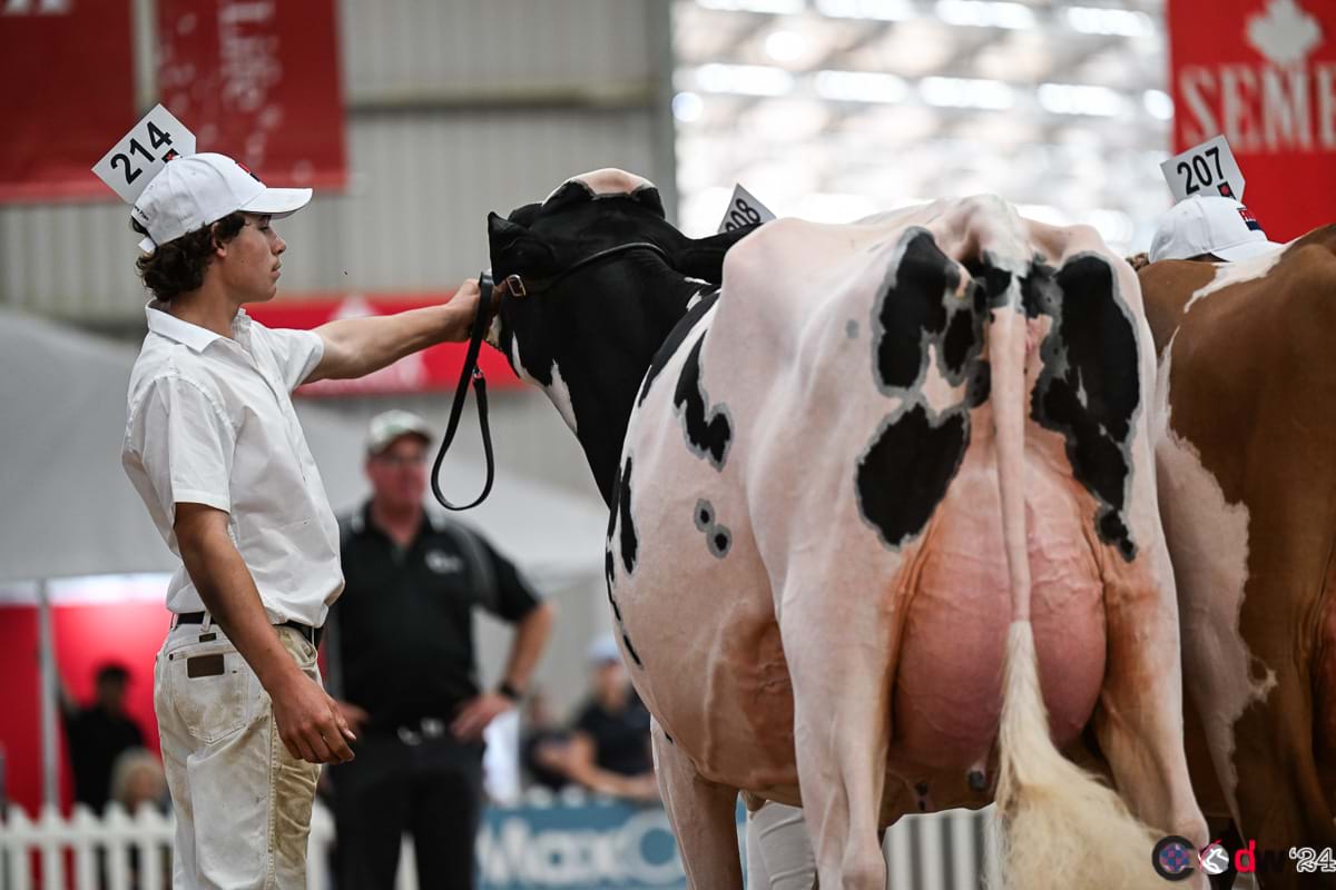 Jett Easterbrook in action with Whyndell Doc Sally