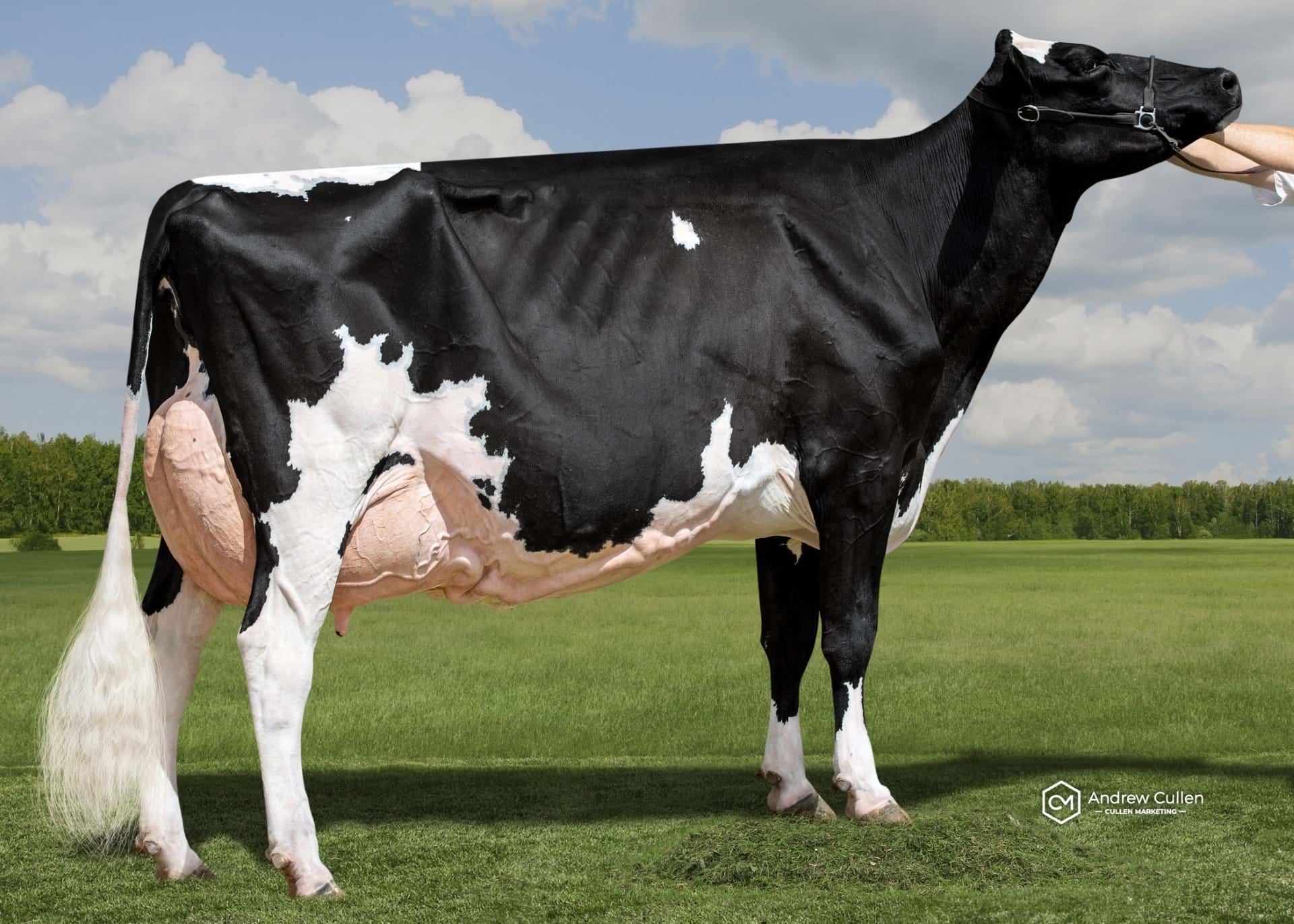 Instyle Solomon Shower