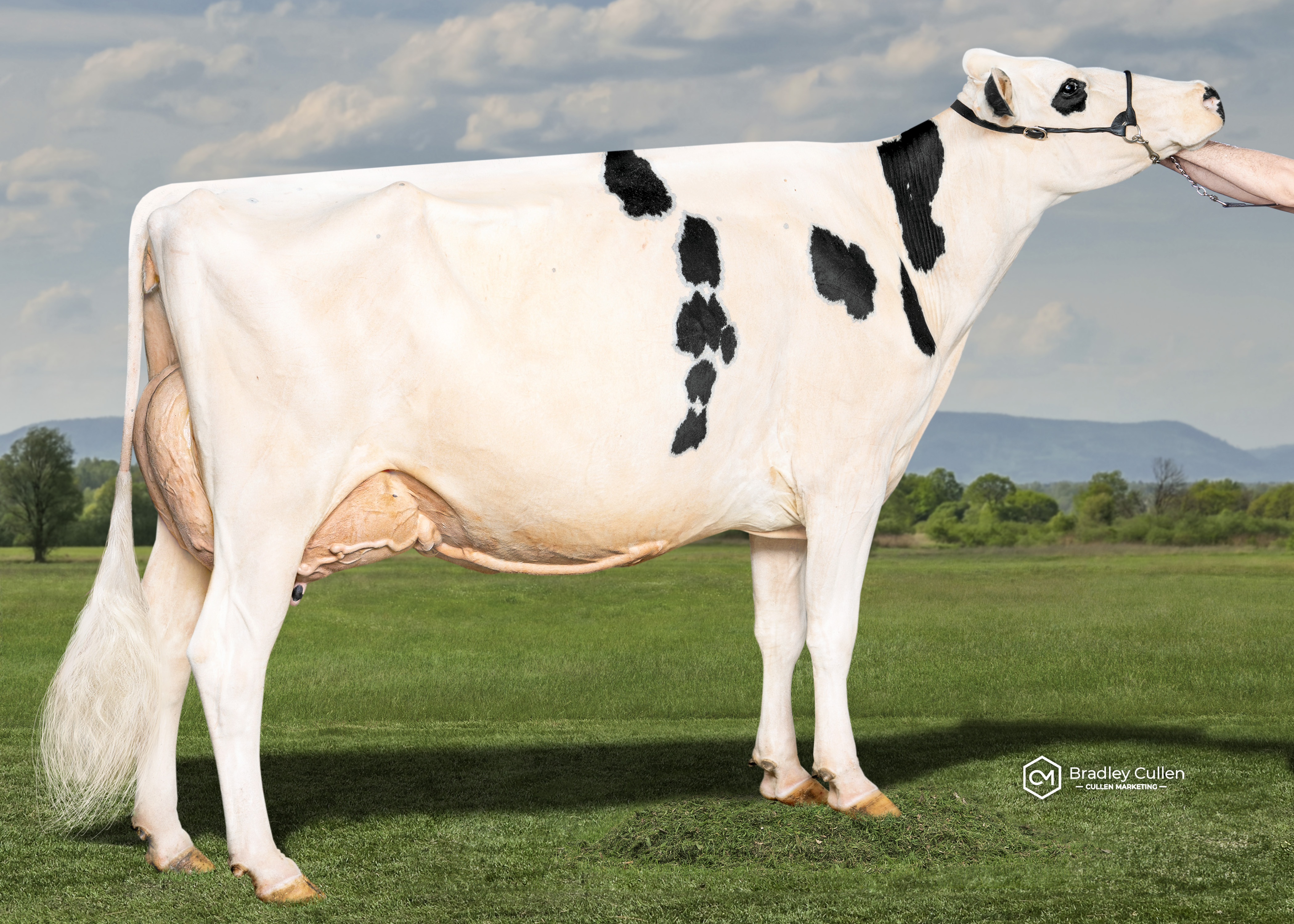 Galba Doorman Alexandra 4th-ET