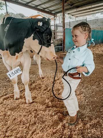 UNTITLED - Gemma Otton, Tango Holsteins.