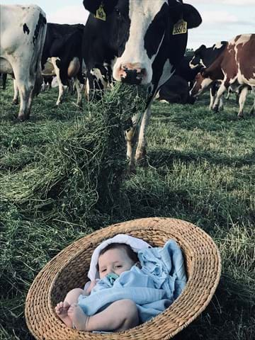 MEETING THE NEXT GEN – Michael Rood, Whitegold Holsteins.