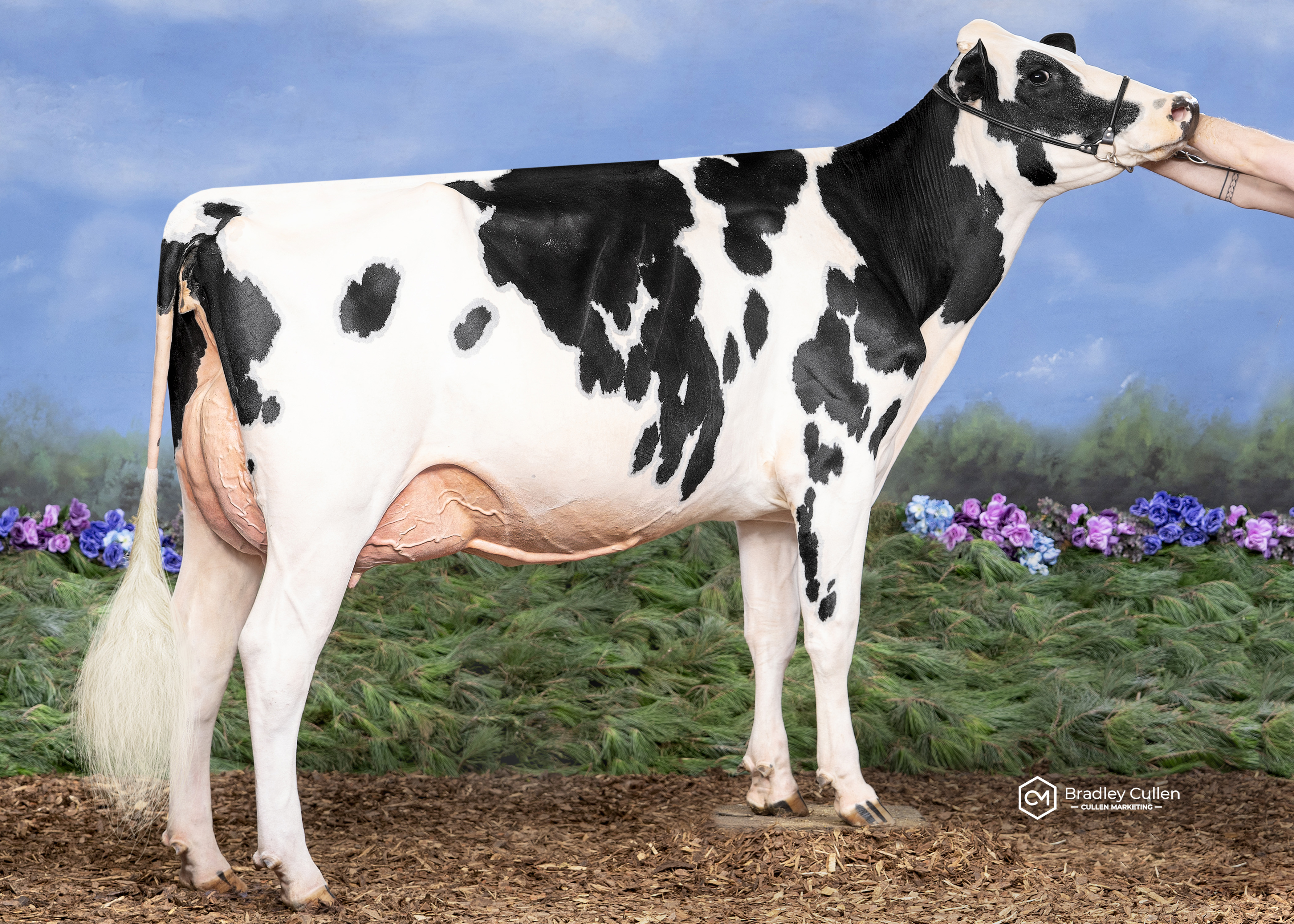 View Fort Lambda Butter