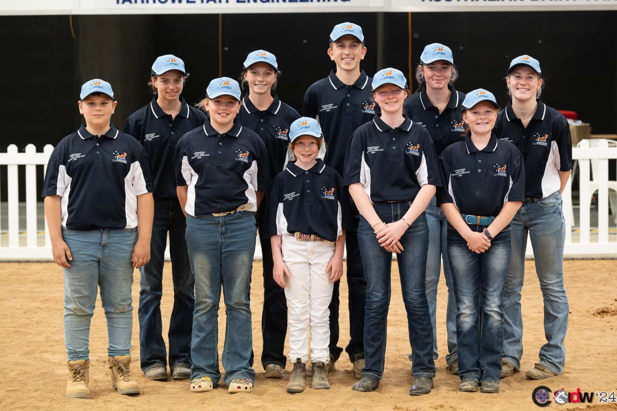 AUSTRALIAN AYRSHIRES