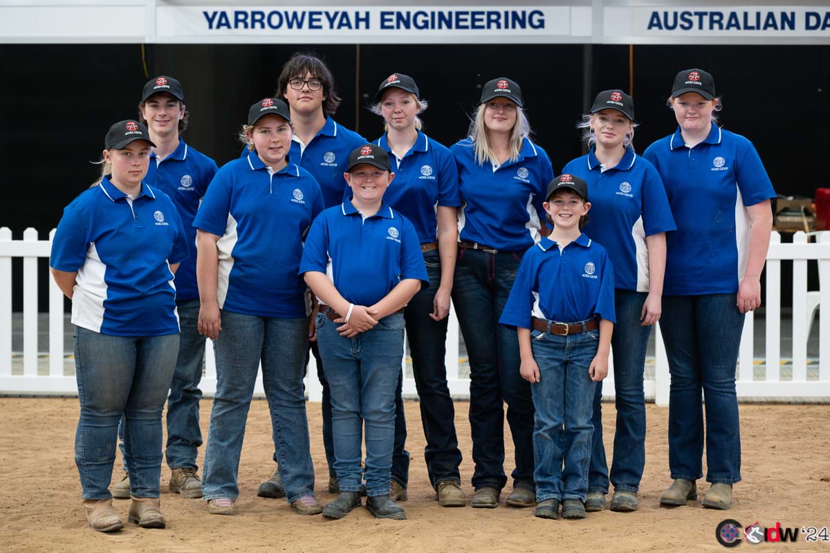 BROWN SWISS AUSTRALIA