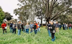 Carenda Holsteins Farm Walk