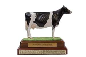 Holstein Australia's coveted Cow of the Year trophy