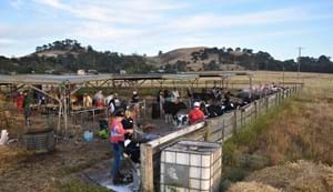 The camp takes place at the Noorat Showgrounds